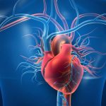 Blood Pressure Control for Better Heart Function