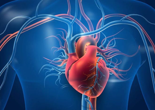 Blood Pressure Control for Better Heart Function